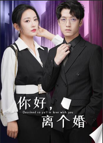 你好，離個(gè)婚(全集)